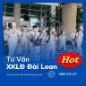 Tư Vấn XKLĐ Uy Tín